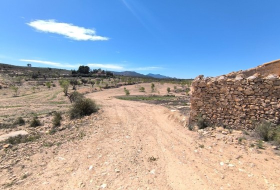 Reventa - Other - Rodriguillo - Inland