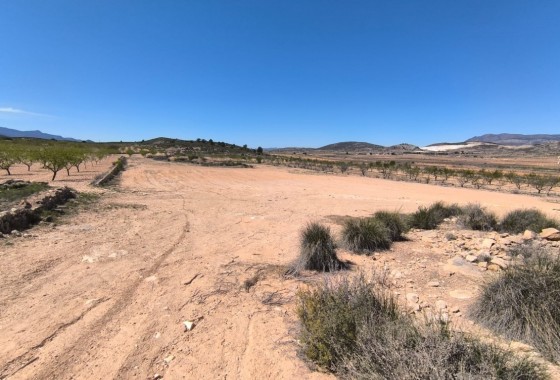 Reventa - Other - Rodriguillo - Inland