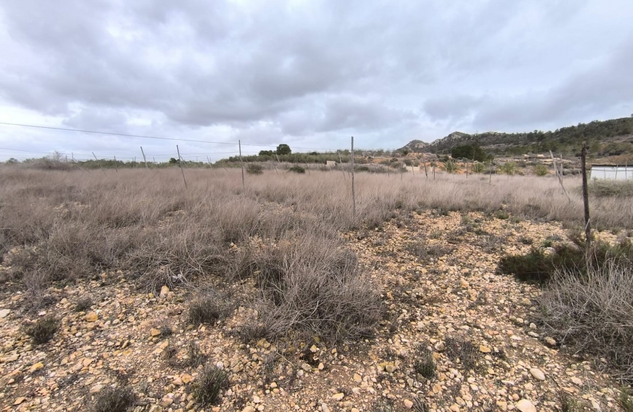 Reventa - Finca - La Romana - Inland