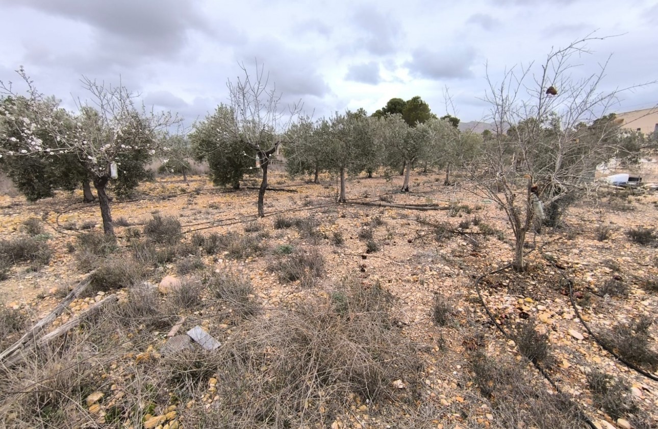 Reventa - Finca - La Romana - Inland