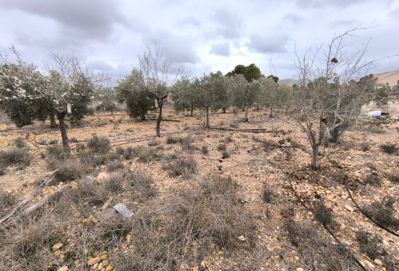 Reventa - Finca - La Romana - Inland