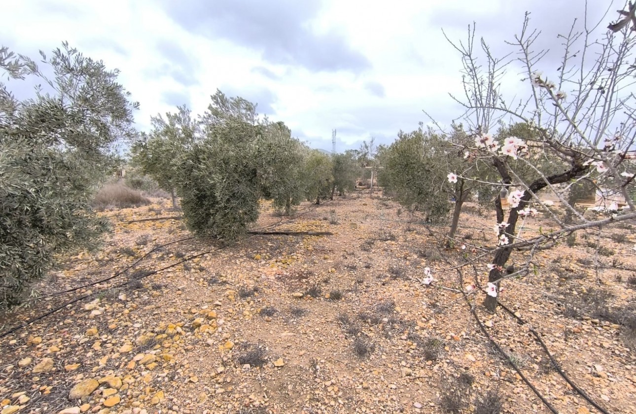 Reventa - Finca - La Romana - Inland