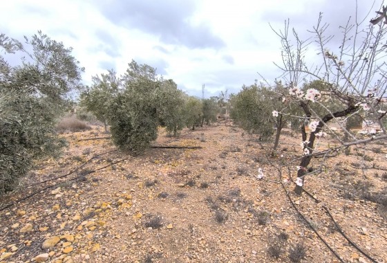 Reventa - Finca - La Romana - Inland