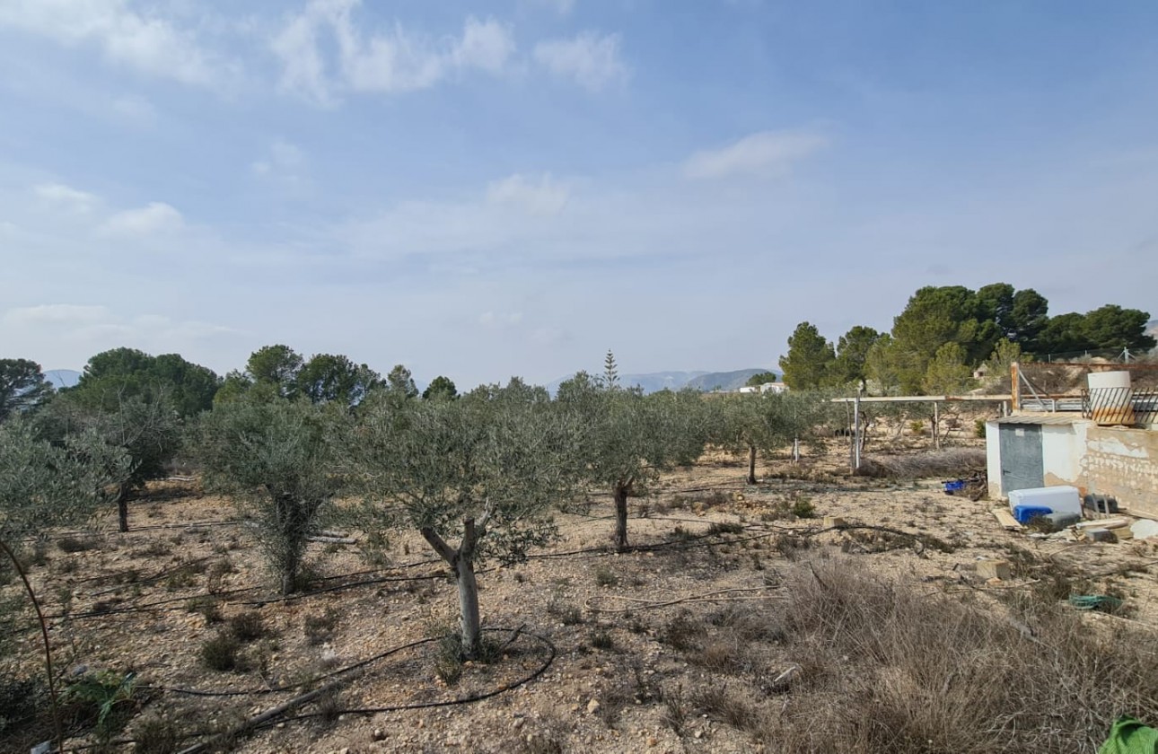 Reventa - Finca - La Romana - Inland
