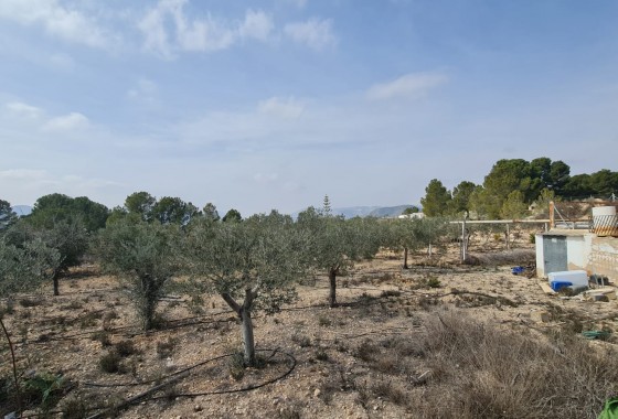 Reventa - Finca - La Romana - Inland