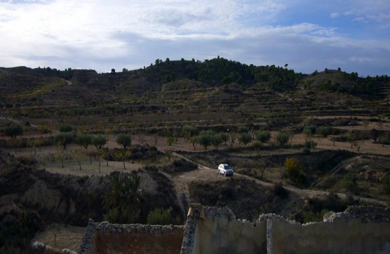 Revente - Other - Macisvenda - Inland