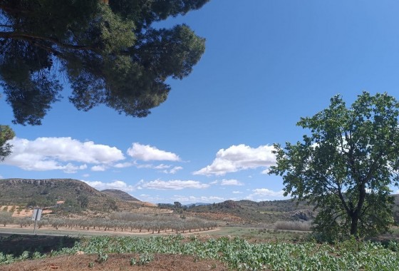 Reventa - Country house - Yecla - Inland