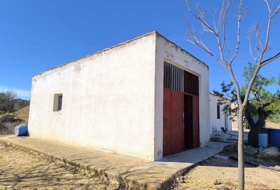 Reventa - Country house - Yecla - Inland