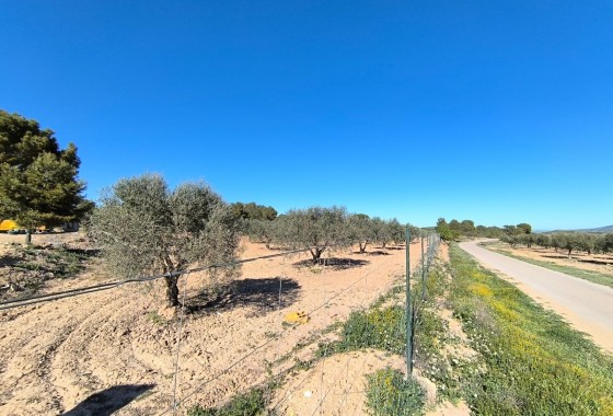 Reventa - Country house - Yecla - Inland