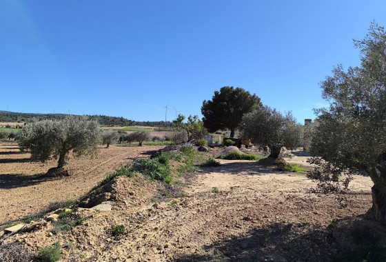 Reventa - Country house - Yecla - Inland
