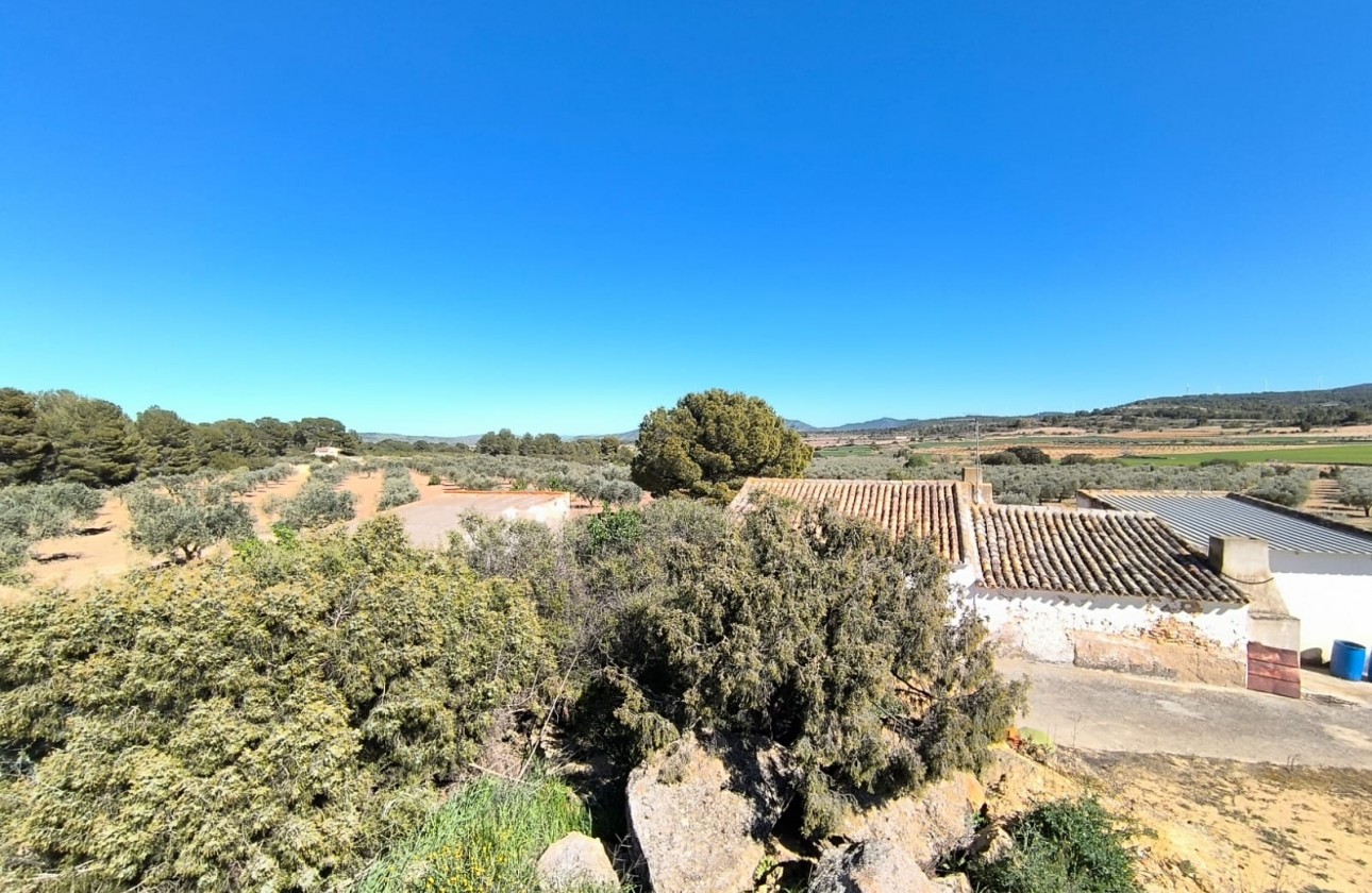 Reventa - Country house - Yecla - Inland