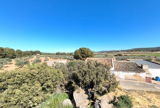 Reventa - Country house - Yecla - Inland