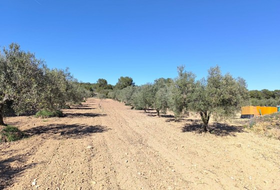 Reventa - Country house - Yecla - Inland