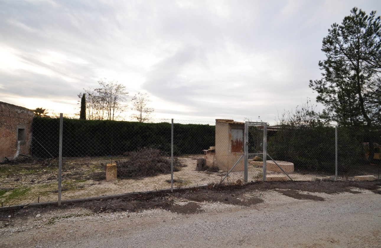 Revente - Villa - Pinoso - Inland