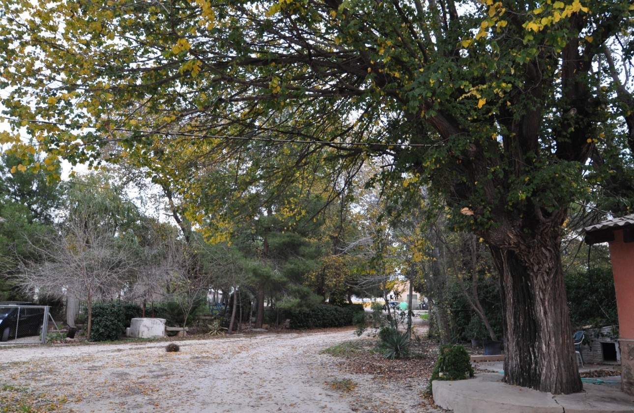 Revente - Villa - Pinoso - Inland