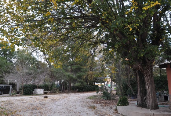 Revente - Villa - Pinoso - Inland