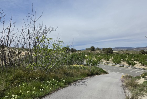 Resale - Country house - La Zarza - Inland