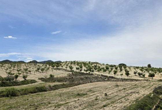 Resale - Country house - La Zarza - Inland