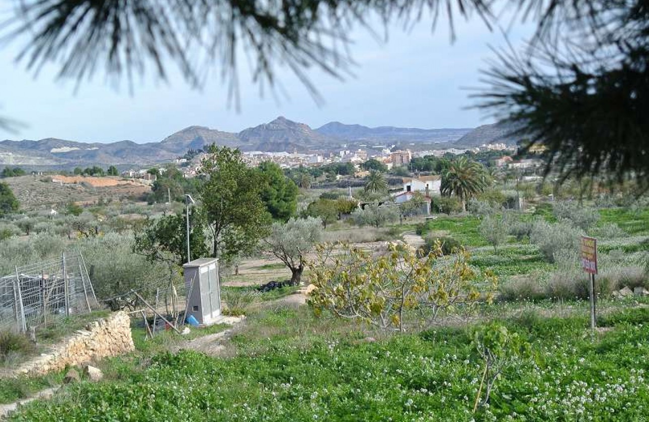 Reventa - Country house - Monóvar/Monóver - Inland