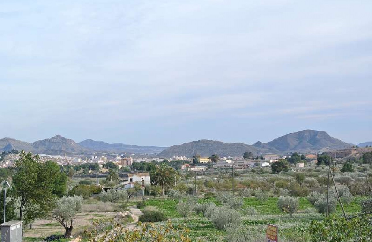 Reventa - Country house - Monóvar/Monóver - Inland
