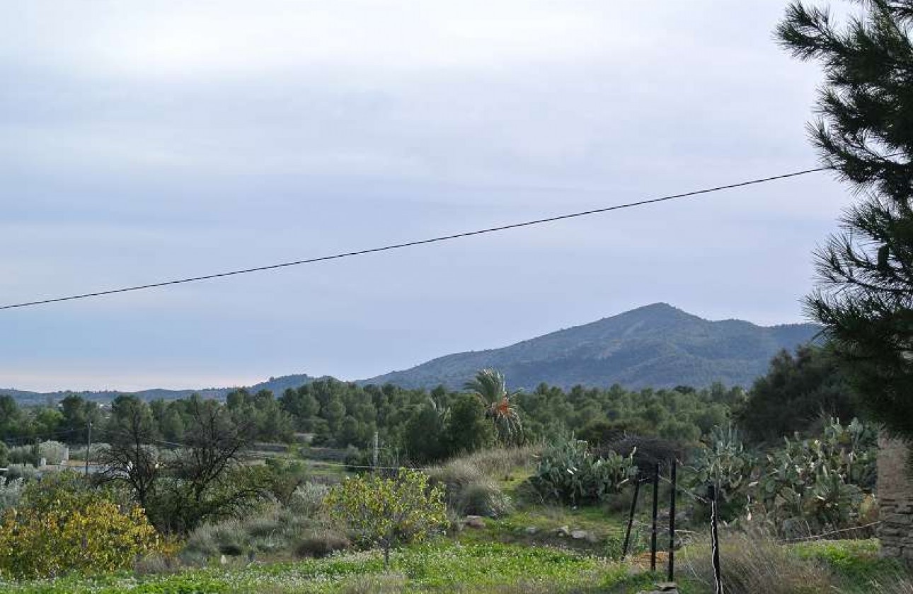 Reventa - Country house - Monóvar/Monóver - Inland