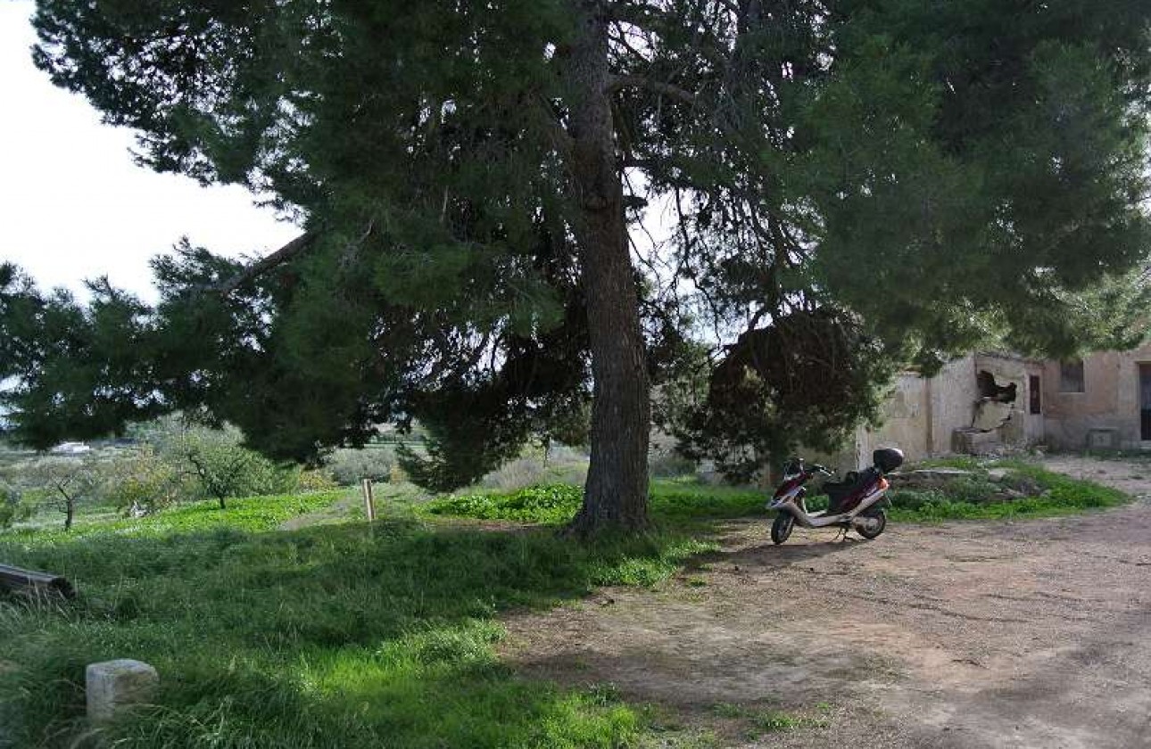 Reventa - Country house - Monóvar/Monóver - Inland