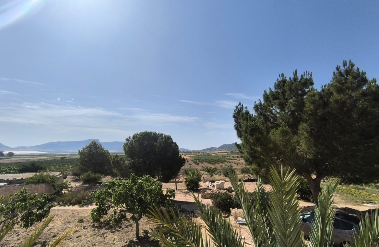 Reventa - Chalet - Chinorlet - Inland