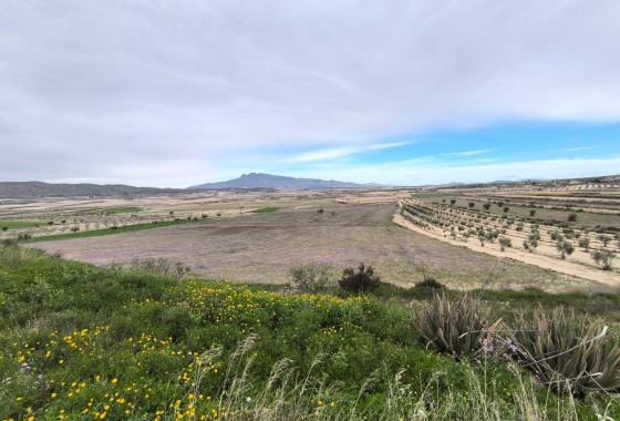Reventa - Country house - La Zarza - Inland