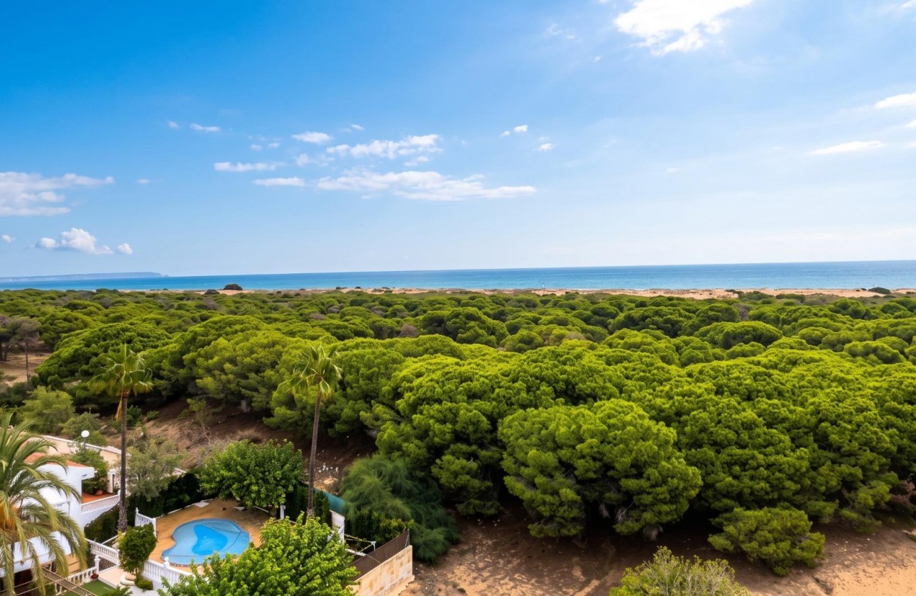Revente - Appartement - Guardamar del Segura - Lomas de Polo-Pinomar