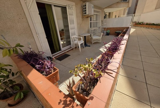 Revente - Appartement - Torrevieja - Estacion de autobuses