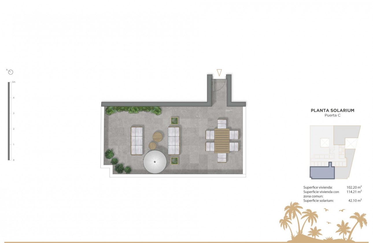 Nouvelle construction - Attique - Guardamar del Segura - Pueblo