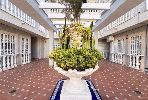 Revente - Appartement - Torrevieja - Playa de los Locos