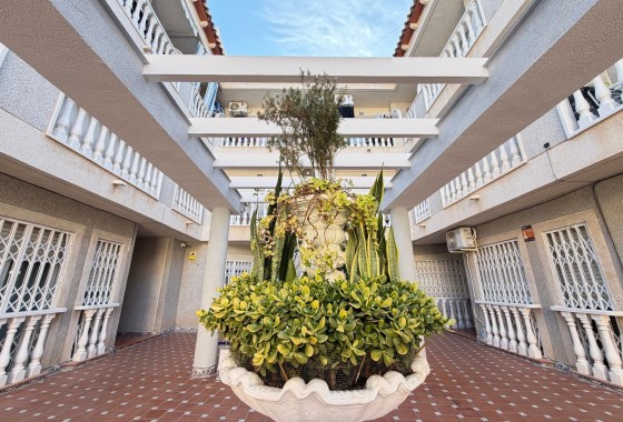 Revente - Appartement - Torrevieja - Playa de los Locos