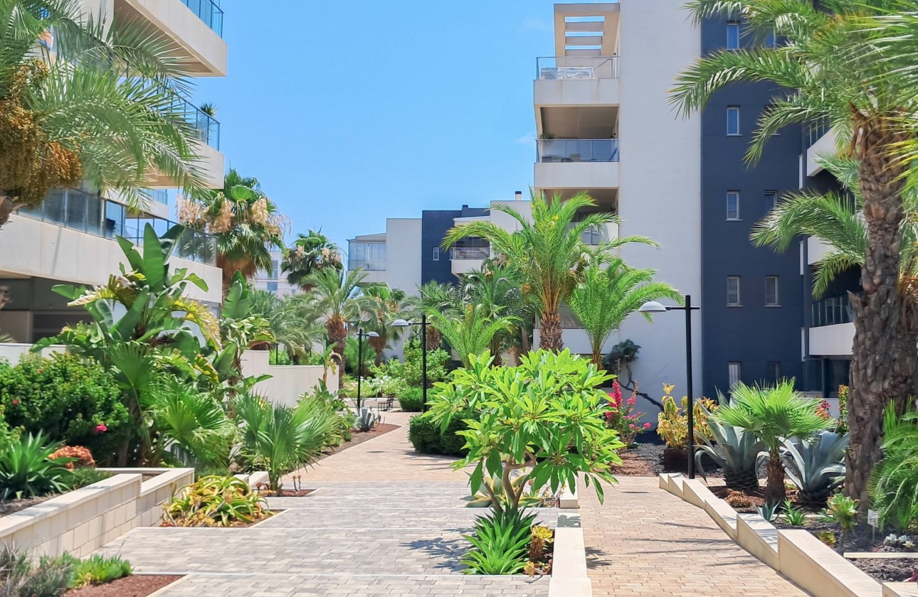 Revente - Appartement - Orihuela Costa - Los Dolses