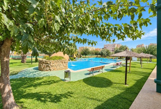 Resale - Bungalow - Torrevieja - Torreblanca