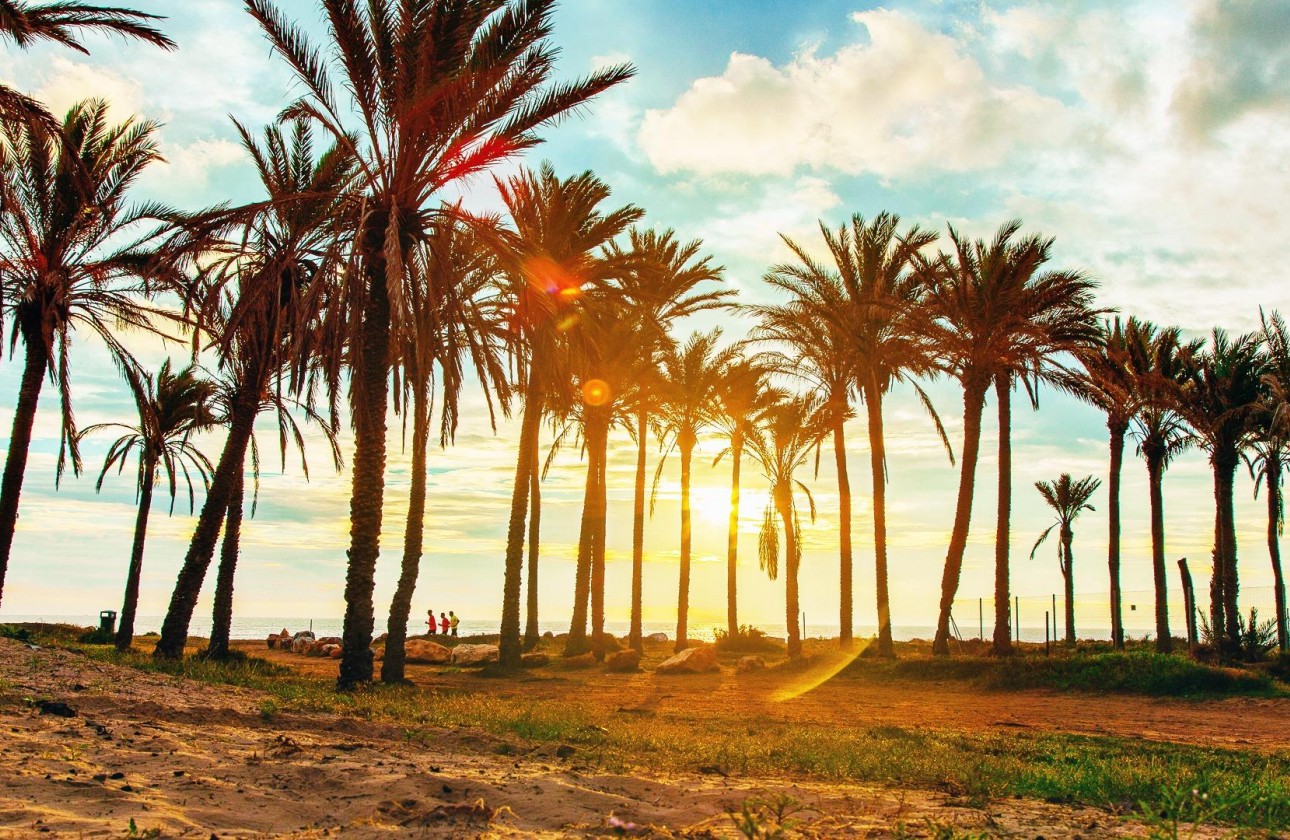 Resale - Bungalow - Torrevieja - Los balcones
