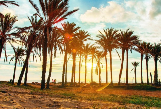 Resale - Bungalow - Torrevieja - Los balcones