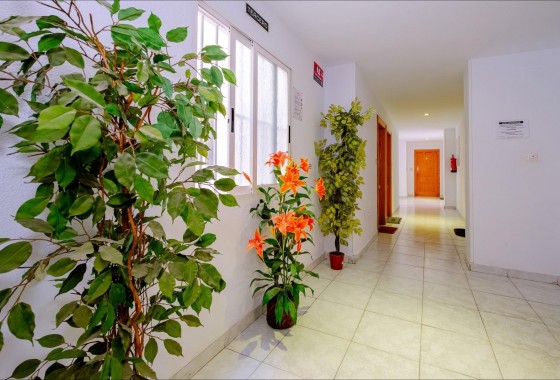 Resale - Apartment / flat - Torrevieja - Playa del Cura