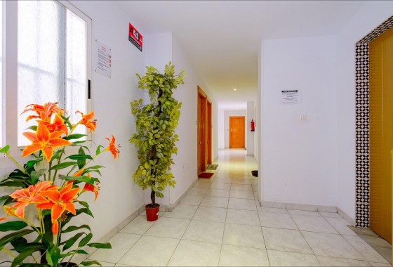 Resale - Apartment / flat - Torrevieja - Playa del Cura