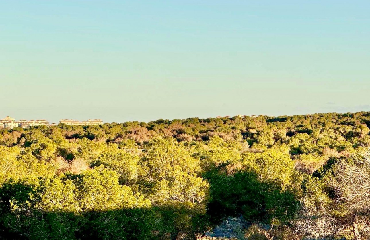Revente - Villa - Torrevieja - La Siesta - El Salado - Torreta