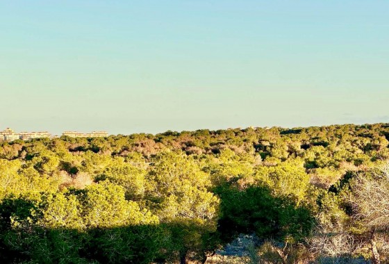 Revente - Villa - Torrevieja - La Siesta - El Salado - Torreta