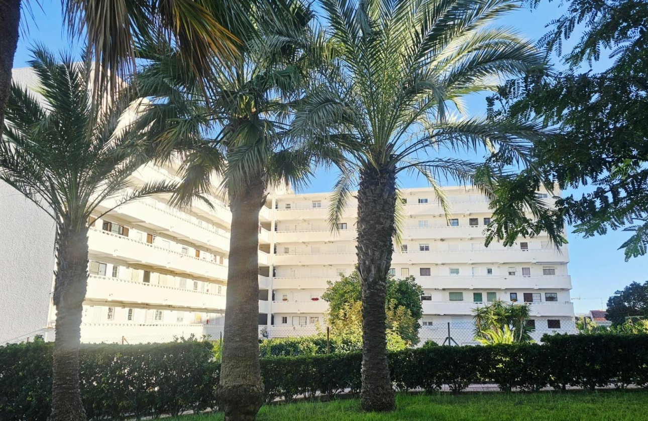 Revente - Appartement - Torrevieja - Torreblanca