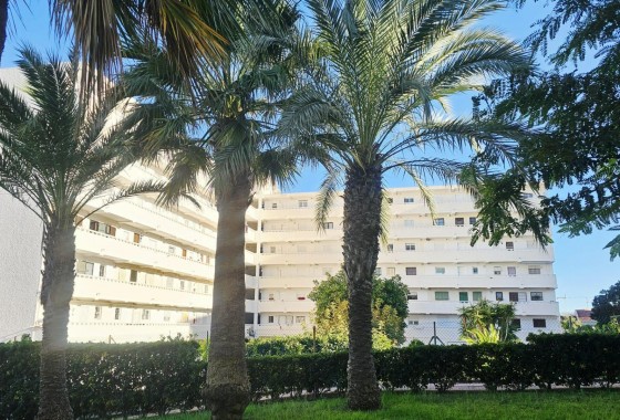 Revente - Appartement - Torrevieja - Torreblanca
