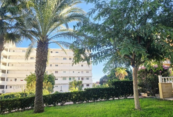 Revente - Appartement - Torrevieja - Torreblanca