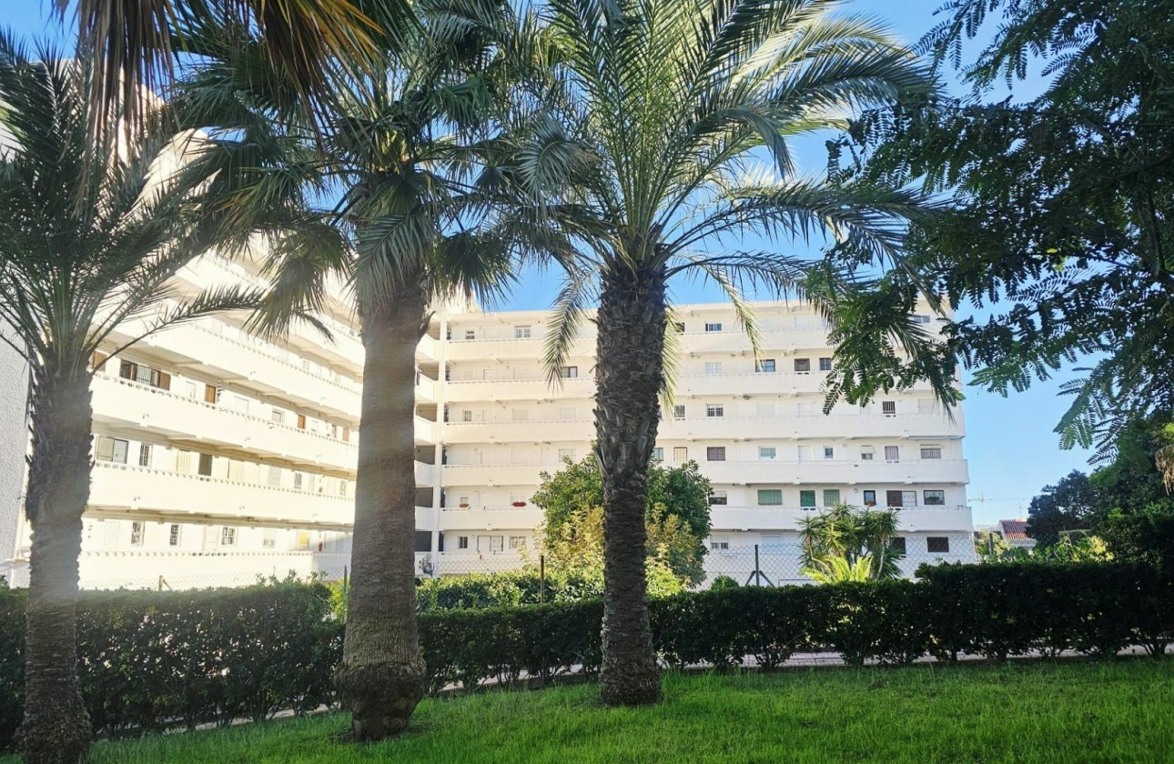Revente - Appartement - Torrevieja - Torreblanca