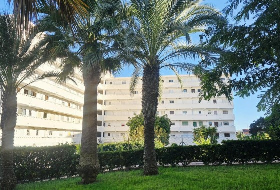 Revente - Appartement - Torrevieja - Torreblanca