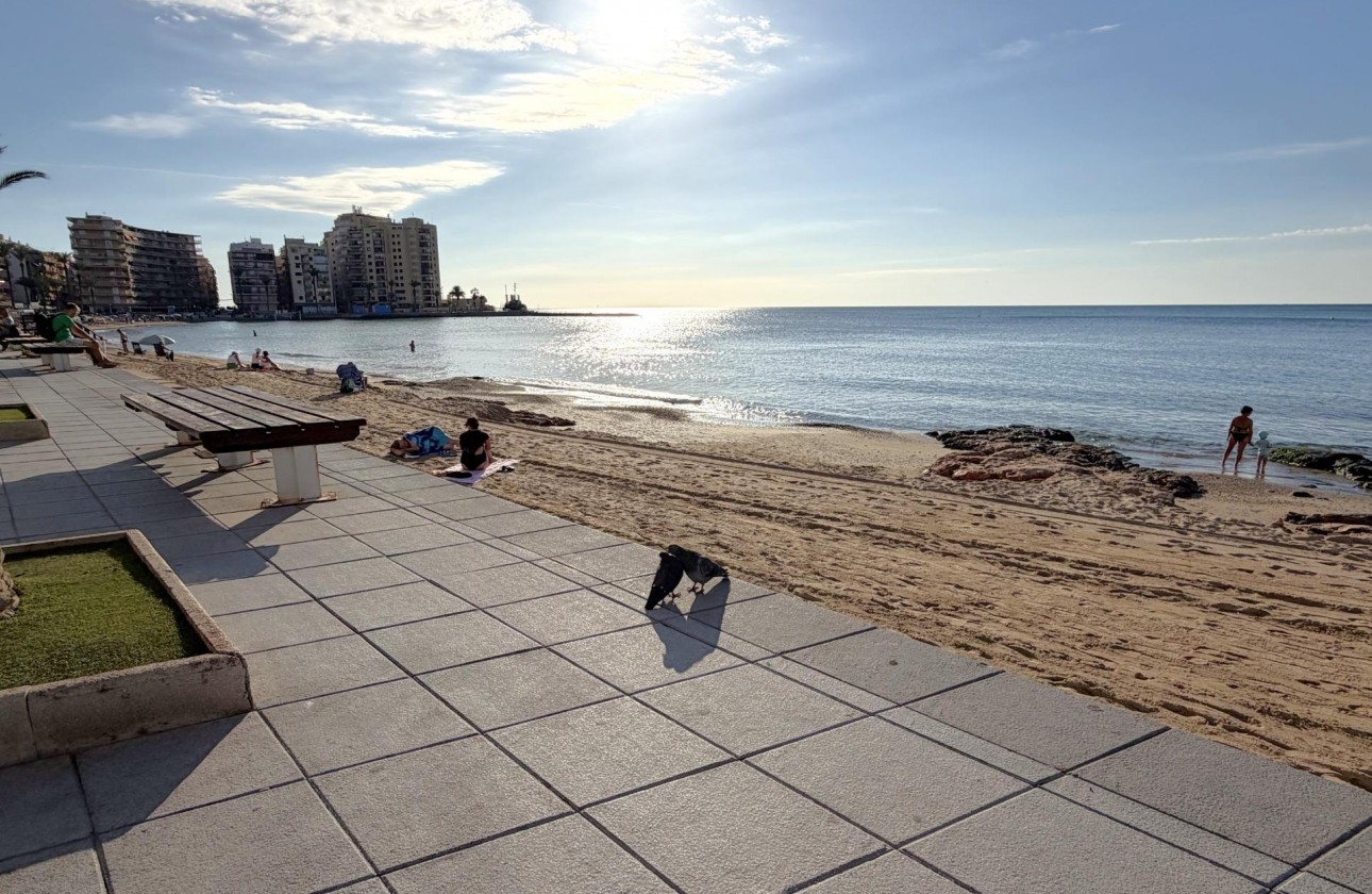 Resale - Apartment / flat - Torrevieja - Las Piscinas Naturales