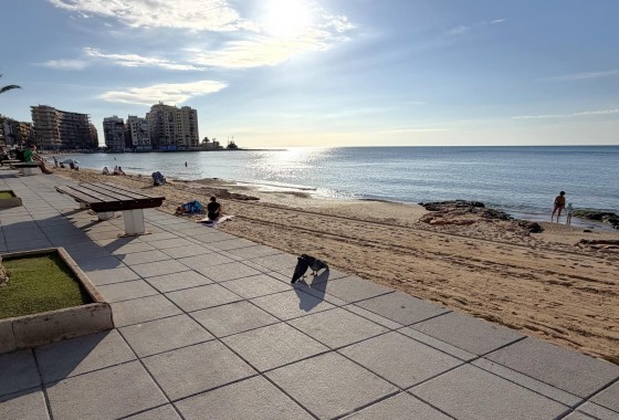 Resale - Apartment / flat - Torrevieja - Las Piscinas Naturales
