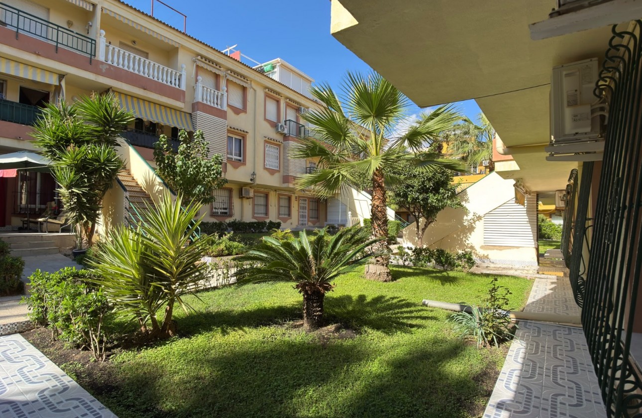 Revente - Appartement - Torrevieja - Costa Blanca
