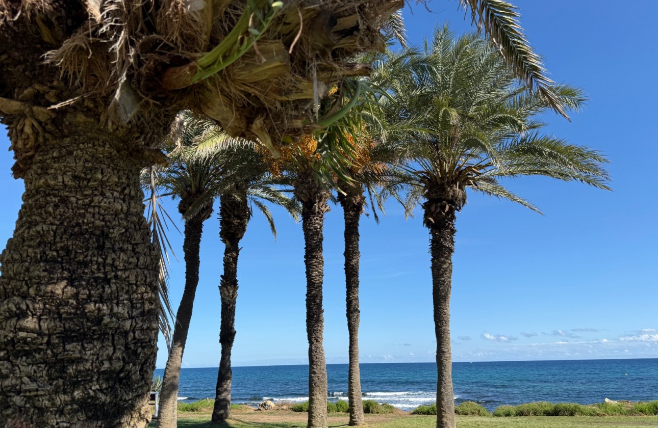 Revente - Appartement - Torrevieja - Costa Blanca
